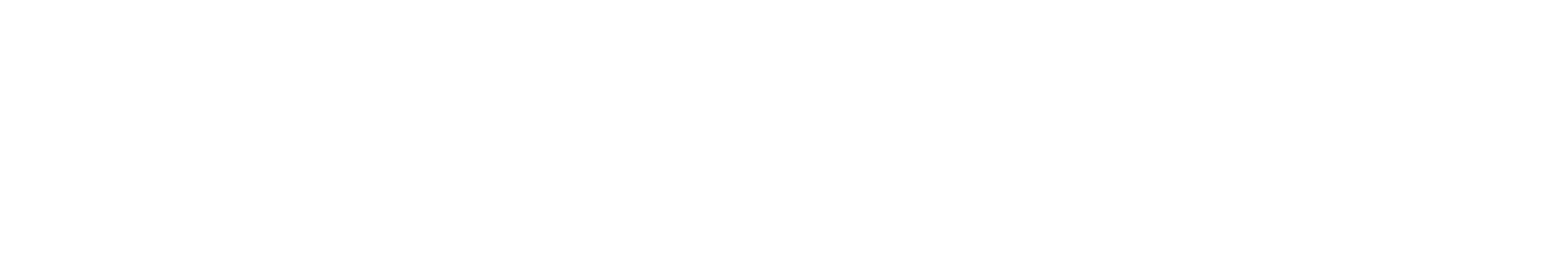ONEPRO® PPF